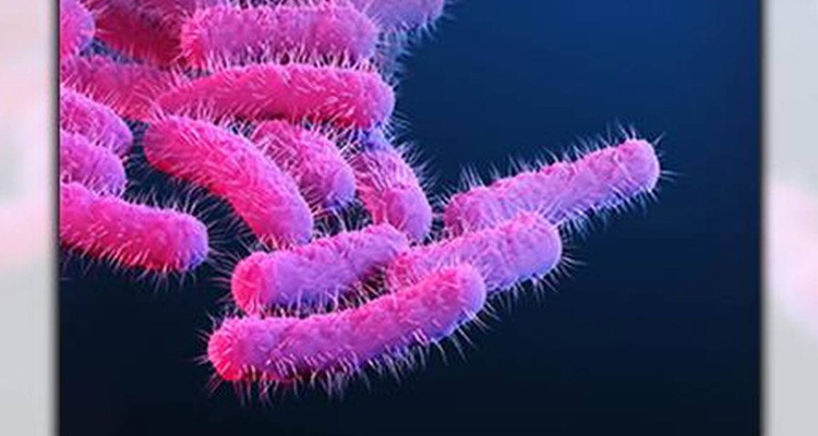 سيدي بوزيد: تسجيل إصابة بجرثومة "الشيغيلا" لدى طفل بمعتمدية سيدي علي بن عون