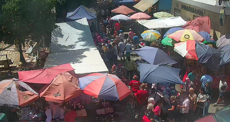 العاصمة: تواصل الحملات ضد الانتصاب الفوضوي وتخصيص فضاء منظم ومهيأ بالمنصف باي