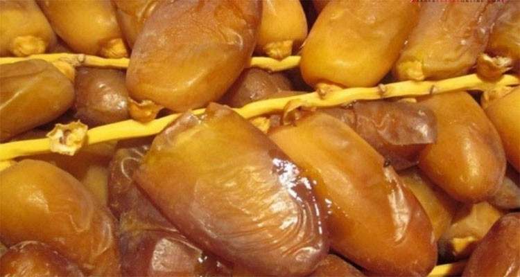 رئيس اتحاد الفلاحة بتوزر: جودة التمور هاته السنة تختلف عن السنوات الفارطة