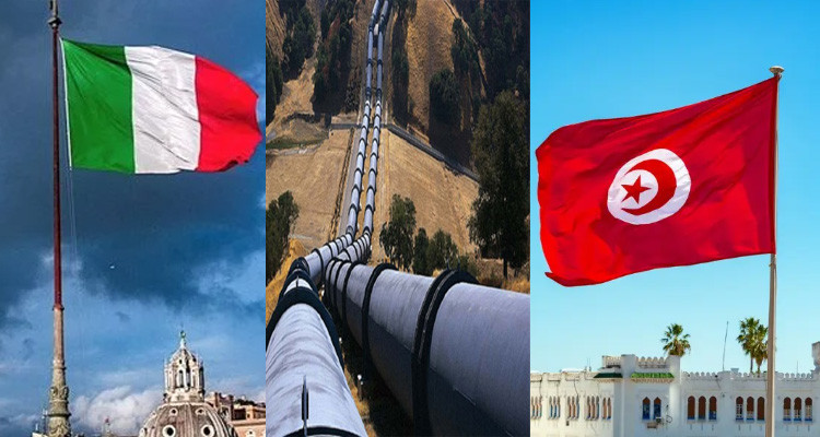 مجدي الكرباعي: إيطاليا تريد معرفة سبب إقالة الرئيس المدير العام لشركة أنبوب الغاز