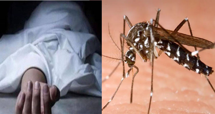 توزر: تسجيل حالة وفاة بحمى غرب النيل و05 إصابات أحدها خطيرة