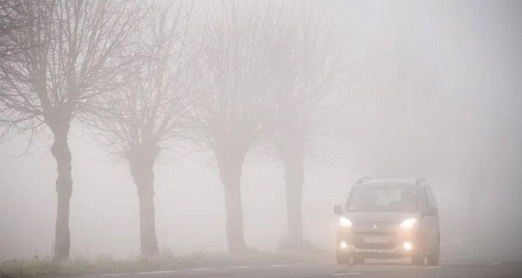 ضباب محلي بالمنخفضات صباح اليوم