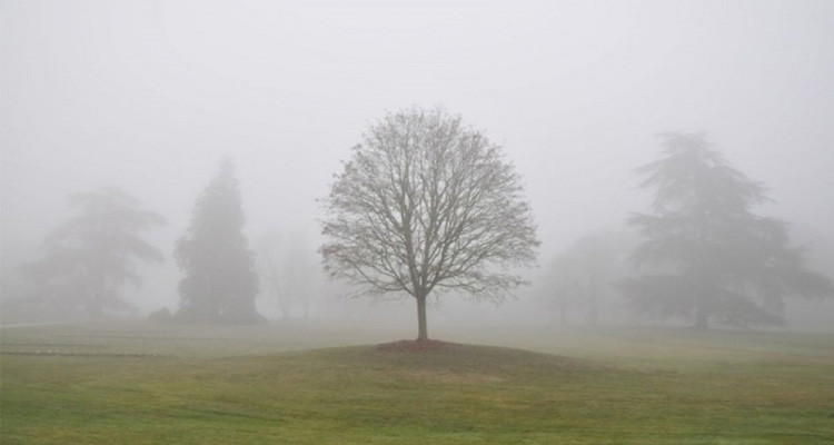 ضباب محلي بالمنخفضات خلال الساعات الأولى من صباح اليوم