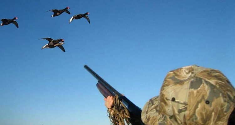 منع الصيد البري بولايتي أريانة وبنزرت غدا