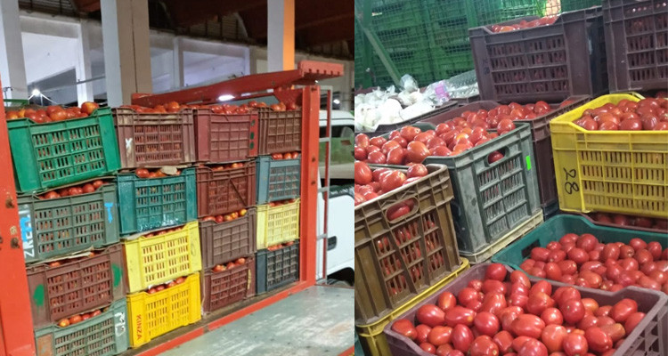 حجز 4 أطنان من الطماطم ببنزرت كانت ستروج خارج المسالك القانونية