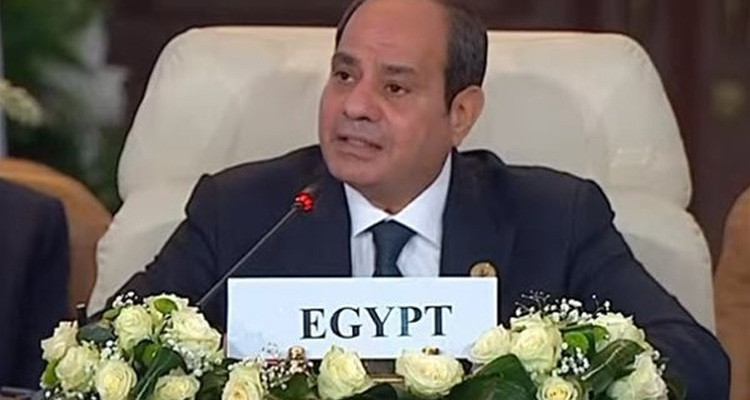 السيسي: تصفية القضية الفلسطينية لن يحدث على حساب مصر