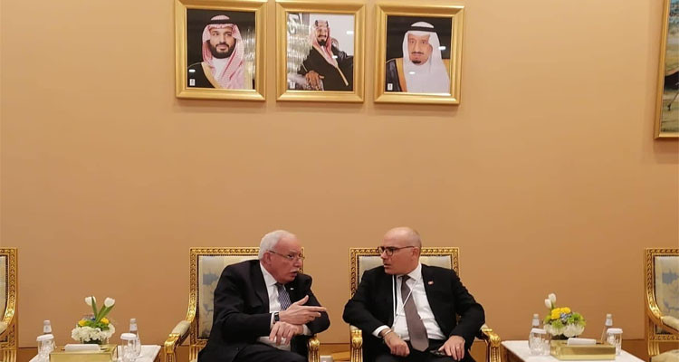 وزير الخارجية يعقد محادثات مع نظرائه في سوريا وفلسطين ولبنان