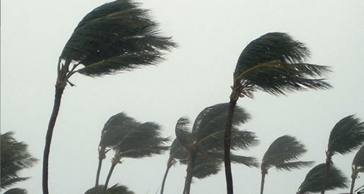 رياح قوية متواصلة بأغلب الجهات هذه الليلة