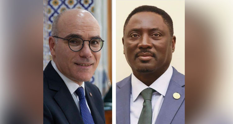 نبيل عمار: نواصل العمل على إعادة مهاجرين غير نظاميين غامبيين إلى بلادهم بصفة طوعية