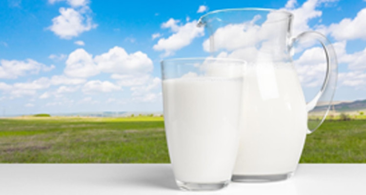 قفصة: حجز 900 علبة حليب معدة للاحتكار بمحل في جهة المتلوي