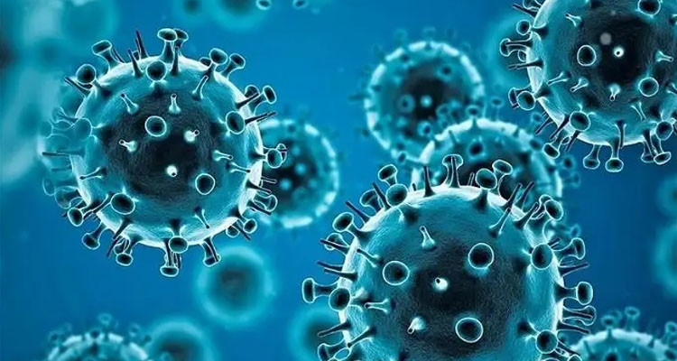 دراسة: فيروس كورونا يمكنه تدمير هرمون السعادة والتسبب في الشيخوخة