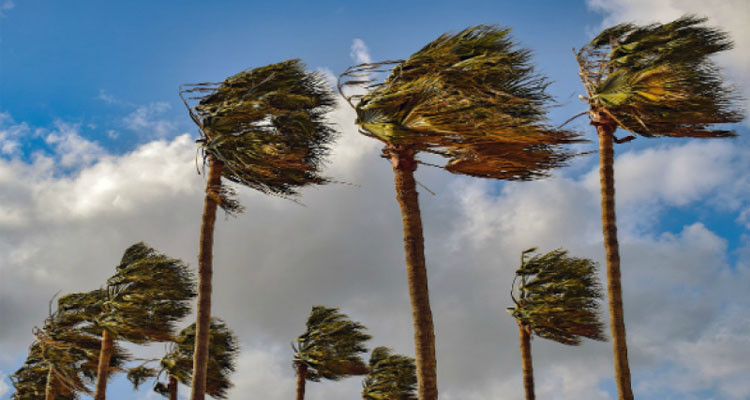 طقس مغيم ورياح قوية في هذه الجهات اليوم