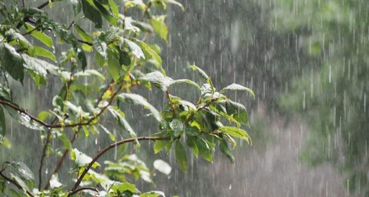 أمطار بعد الظهر في هذه المناطق