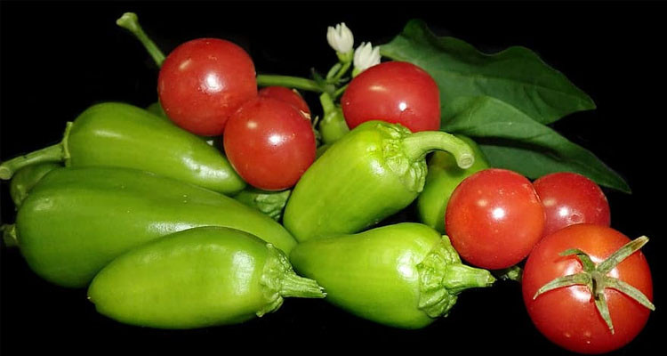  وزيرة التجارة تكشف سبب نقص بعض المواد الأساسية وغلاء أسعارها