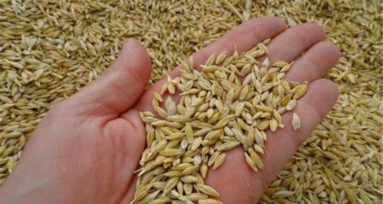 البنك التونسي للتظامن يخصص خط تمويل بقيمة 10 ملايين دينار لتمويل صغار الفلاحين