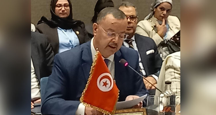 وزير الصحة يؤكد من جنيف على ضرورة إيلاء الوضع الصحي في ف/ل،س/طي/ن الأولوية القصو