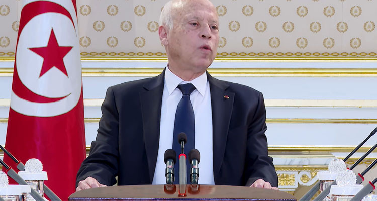 سعيد: تدفق المهاجرين غير الشرعيين تزامن مع تدفق المليارات من الخارج فإين لجنة التحاليل المالية؟