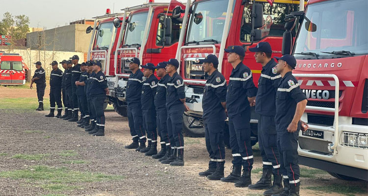 عملية بيضاء تونسية جزائرية لمجابهة حرائق الغابات