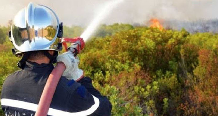 سليانة: حريق يأتي على عشرات الهكتارات في معتمدية الكريب