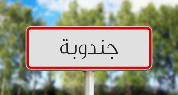 جندوبة: انطلاق موسم الحصاد ماعدى في معتمديتين لهذا السبب