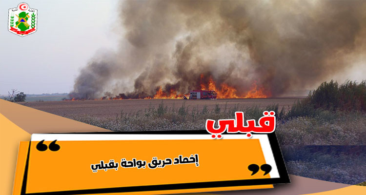 قبلي: حريق يأتي على 84 أصل نخيل في واحد بمعتمدية سوق الأحد