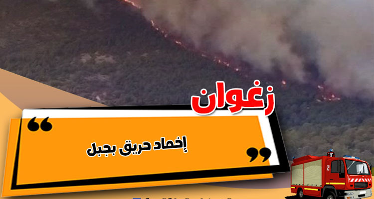 الفحص: حريق يأتي على 40 هكتارا غابة شعراء وأشجار صنوبر