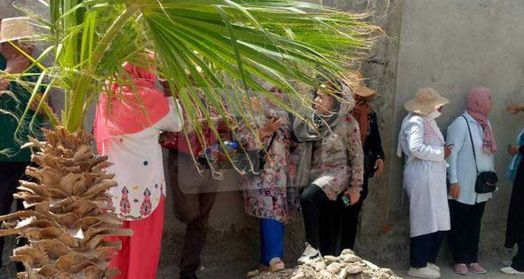 قبلي: أعوان شركة الغراسة والبستنة يحتجون أمام مقر الولاية