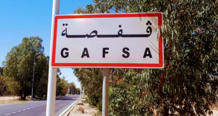 رئيس دائرة الانتاج النباتي: قفصة ليست منجمية فقط وتقدمنا اشواطا كبيرة في هذه المجالات