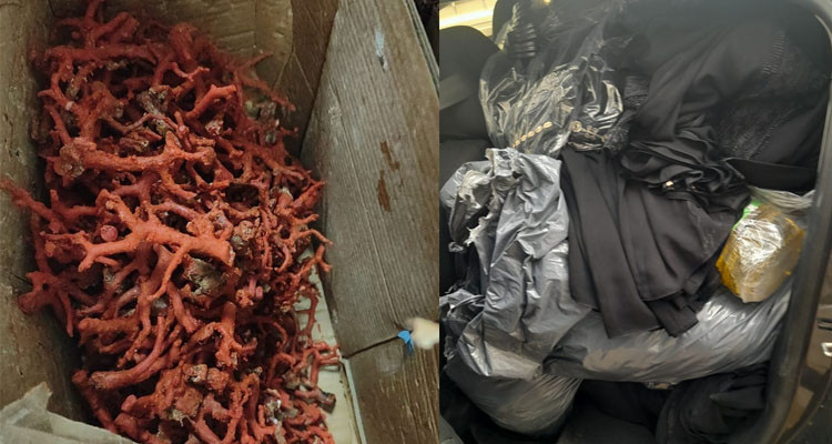 الحرس الديواني بجندوبة يحجز كميات هامة من البضائع المهربة بقيمة فاقت 380 ألف دينار