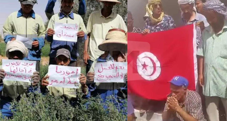 عمال وإطارات شركة البيئة والغراسات والبستنة بتطاوين يحتجون