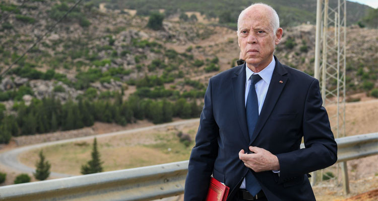 قيس سعيد: شبكات اجرامية وراء قطع المياه والدولة لن تبقى مكتوفة الأيدي