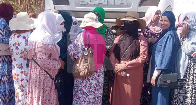  دعوة عدد من أعوان البستنة بقبلي للمثول أمام الفرقة الأولى للحرس الوطني بالعوينة