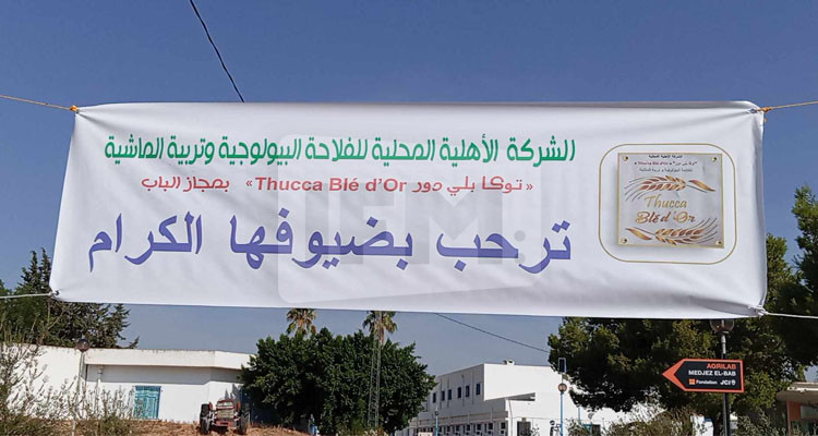 باجة: تأسيس أول شركة أهلية في مجاز الباب تنشط في الفلاحة البيولوجية وتربية الماشية