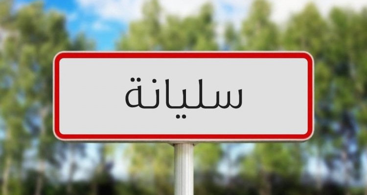 مهرجان سليانة الدولي: الموافقة على إقامة بعض العروض في الملعب البلدي