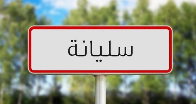 إصابة 5 ركاب بإصابات متفاوتة الخطورة نتيجة انزلاق سيارة في سليانة