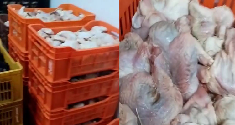 الاحتفاظ بصاحب مسلخ عشوائي وحجز 3400 كغ من لحوم الدواجن الفاسدة في نابل