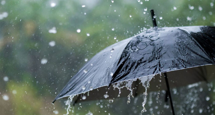 طقس ممطر اليوم