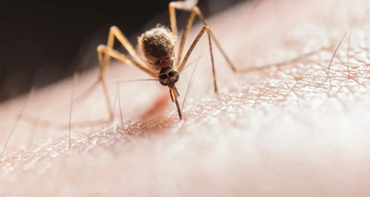 فيروس قاتل يتسبب في حظر تجوّل في ولاية أمريكية