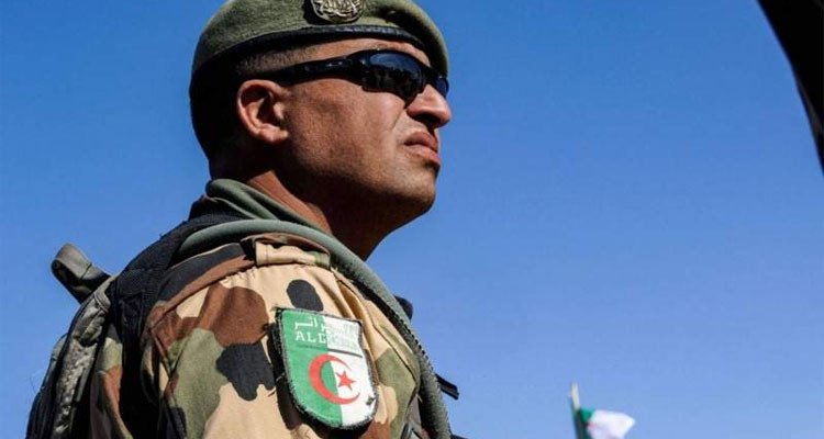 الجزائر: القضاء على إ/ر/ه،ـاب/يي/ن إثنين وتوقيف 12 عنصر دعم للجماعات الإر/ه،اب/ي،ة