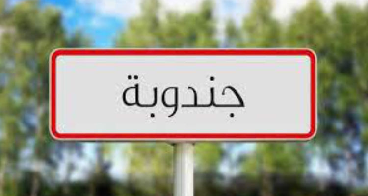 جندوبة: اتفاق على إعادة تشغيل المنطقة السقوية بالرّخاء