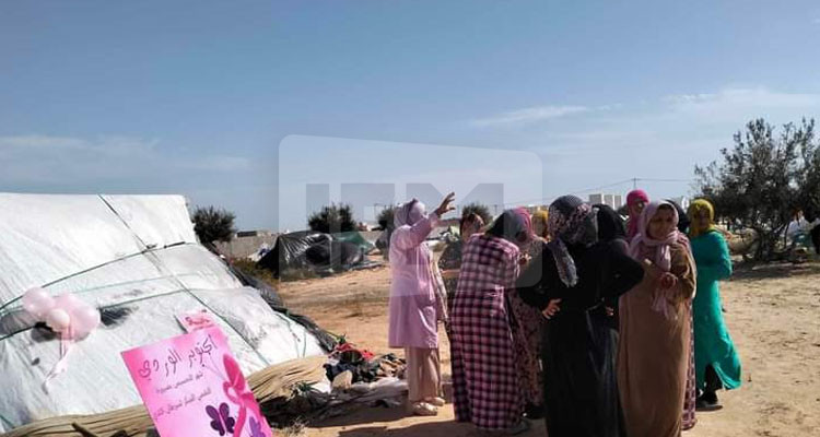 جرجيس: حافلة وردية لتقصي سرطان الثدي وعيادات مجانية لفائدة عاملات جني الزيتون بمنطقة الهشام