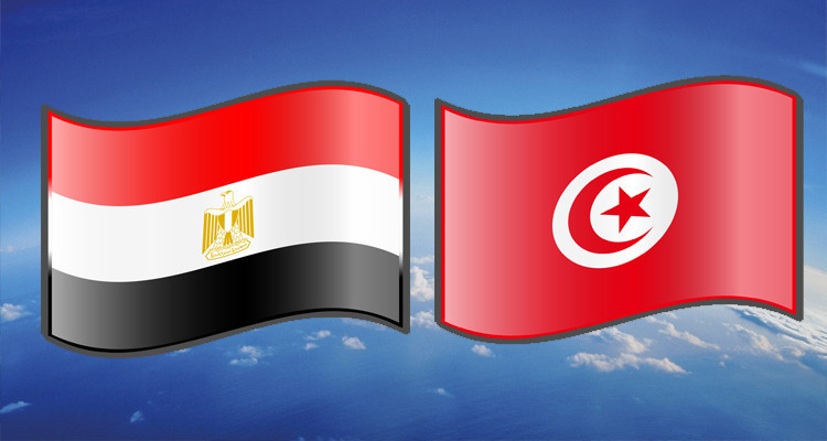    بعثة إقتصادية تونسية متعددة الإختصاصات تزور مصر 