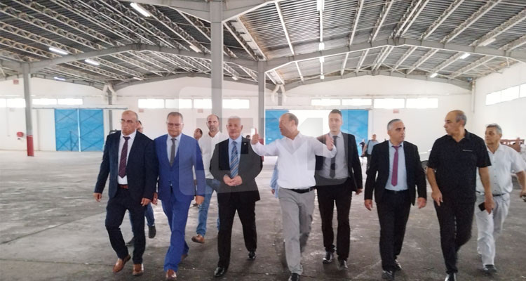 وزارة التجارة تؤكد اتخاذ عديد الإجراءات لتعديل وضعية التزود بالدواجن