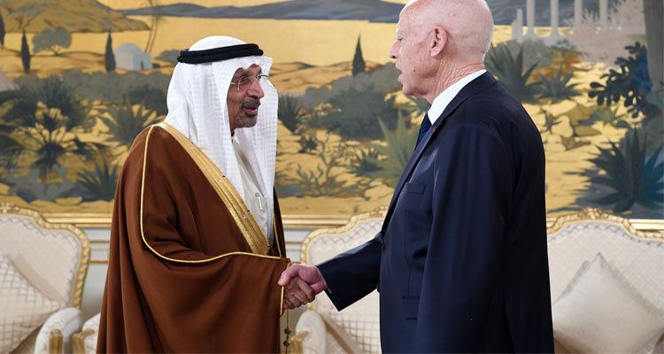 رئيس الجمهورية يستقبل وزير الإستثمار السعودي