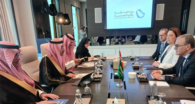 تونس والسعودية تستعدان لبلورة برامج ومجالات تعاون جديدة
