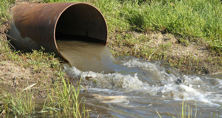بنزرت: إتلاف منتجات مسقية بمياه الصّرف الصحي