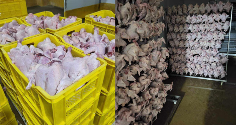 المنستير: حجز قرابة 6000 كلغ من لحوم الدواجن وأكثر من 1000 كلغ من الدجاج الحي