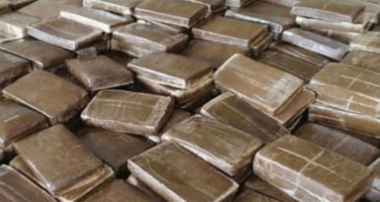 بن عروس: حجز 29 صفيحة من "الزطلة" بمنزل أحد مروجيّ المخدرات