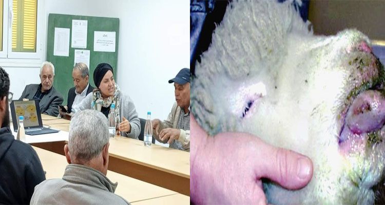 يوم إعلامي في جرجيس حول التوقي من مرض اللسان الأزرق