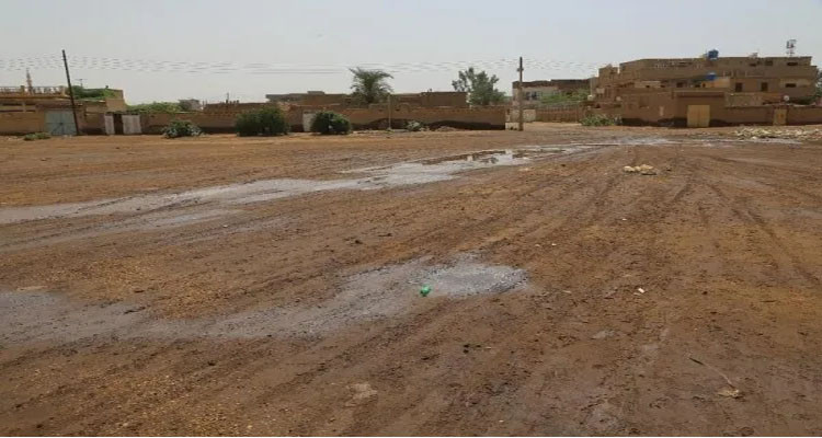 ظاهرة النز تهدد عدد من قرى معتمدية قبلي الشمالية